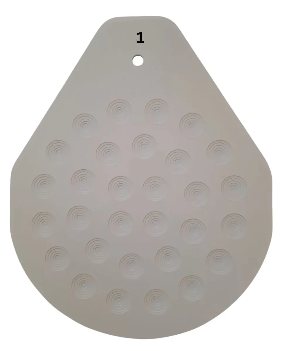 NO.1 BUN DIVIDER PLATE - ERICA RECORD
